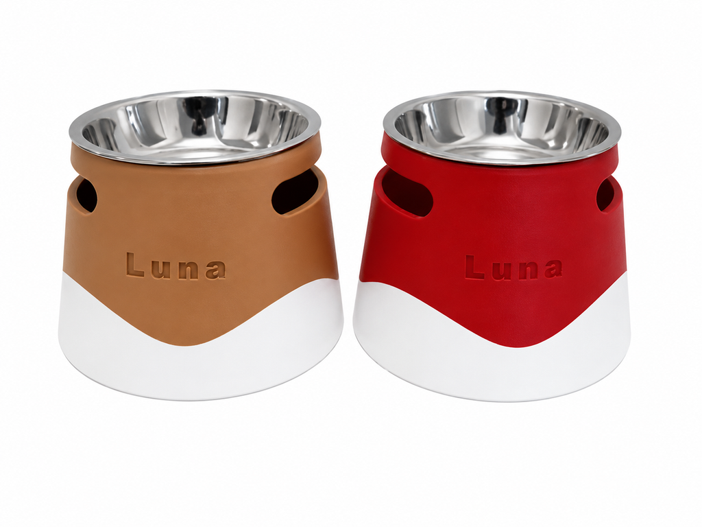 Premium Gift Set — Personalized Elevated Bowl + Engraved Pet ID Tag | 3D Printed | Made in Canada